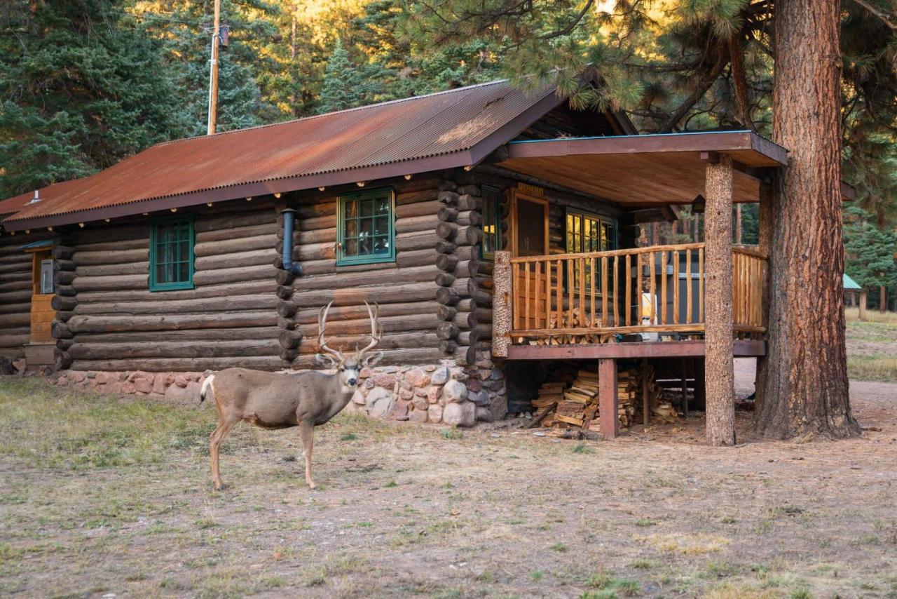 Corkins Lodge Chama 外观 照片